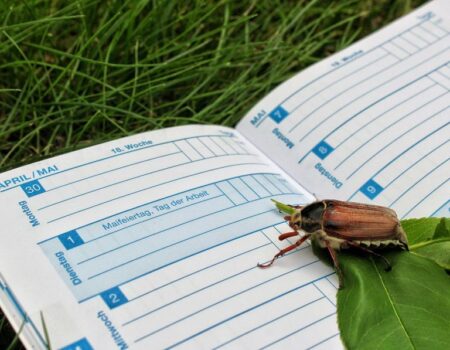 Staff Holiday Planner An Overview