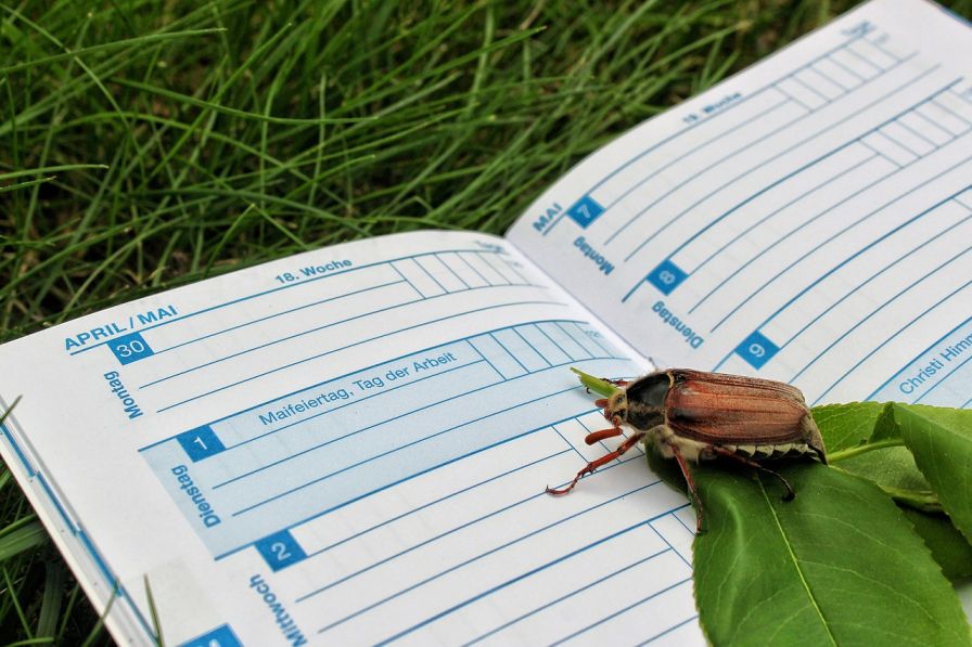 Staff Holiday Planner