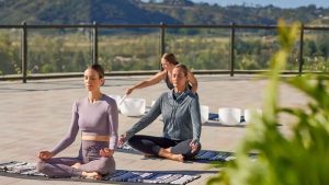 A Little Bit About Womens Wellness Retreat