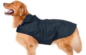 Waterproof Dog Coat